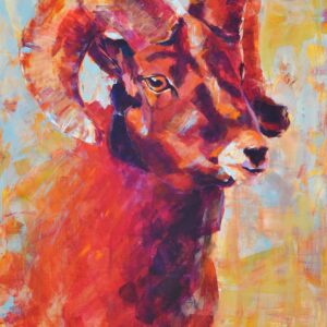 Jasper Bighorn Sheep - Print medium