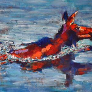 An Evening Swim